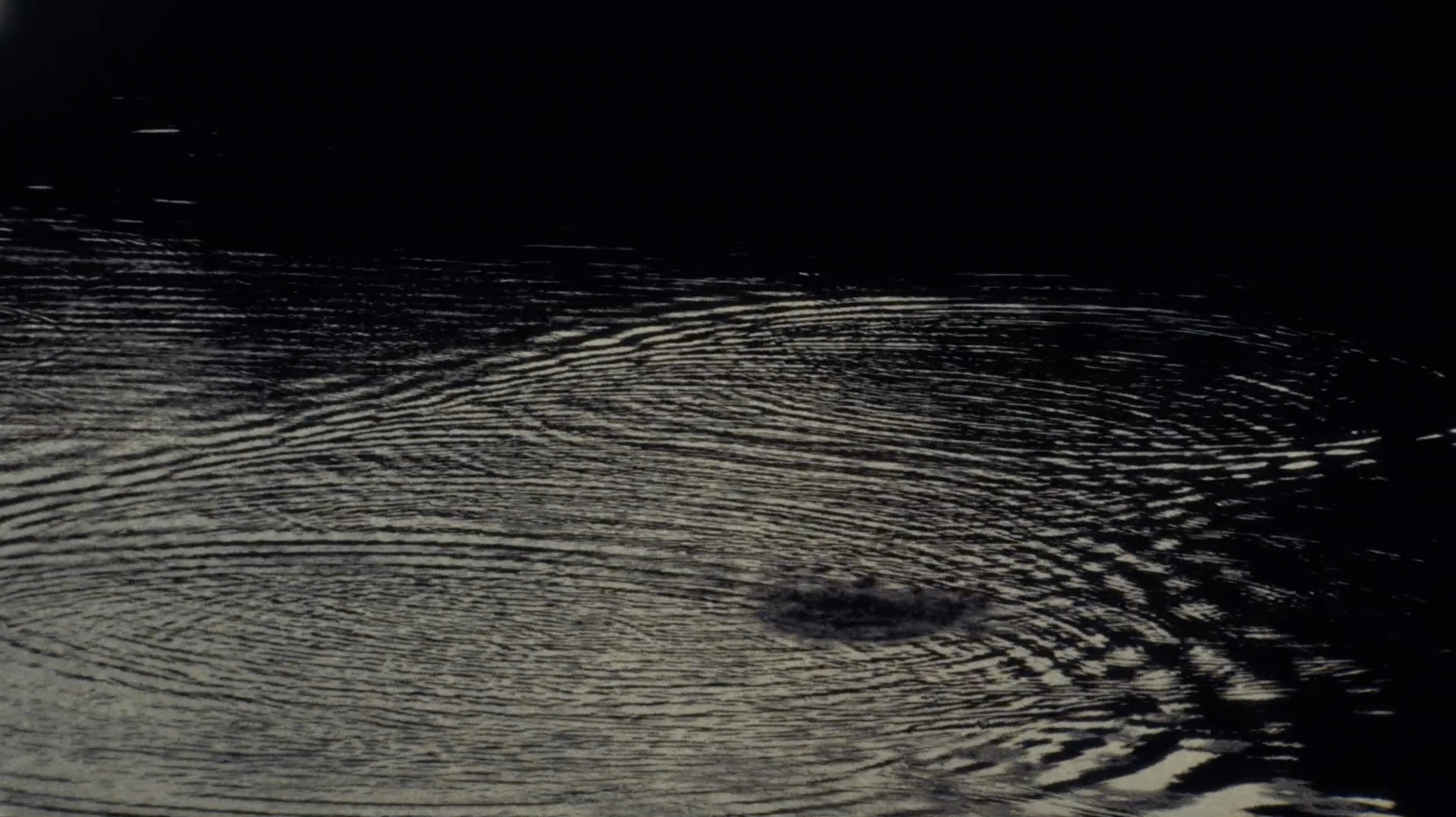 Lookbook 2025 image 12