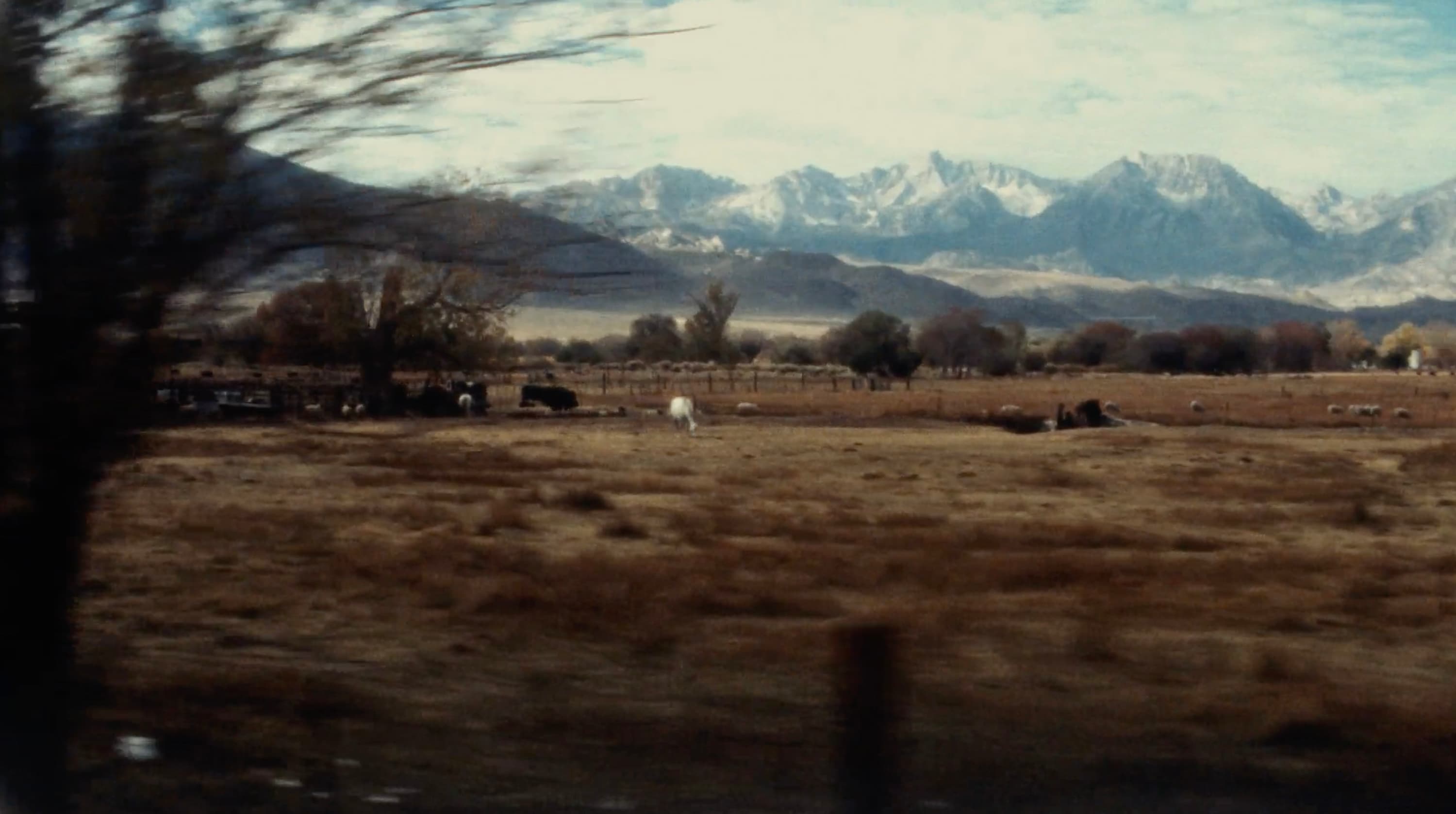 Lookbook 2025 image 14